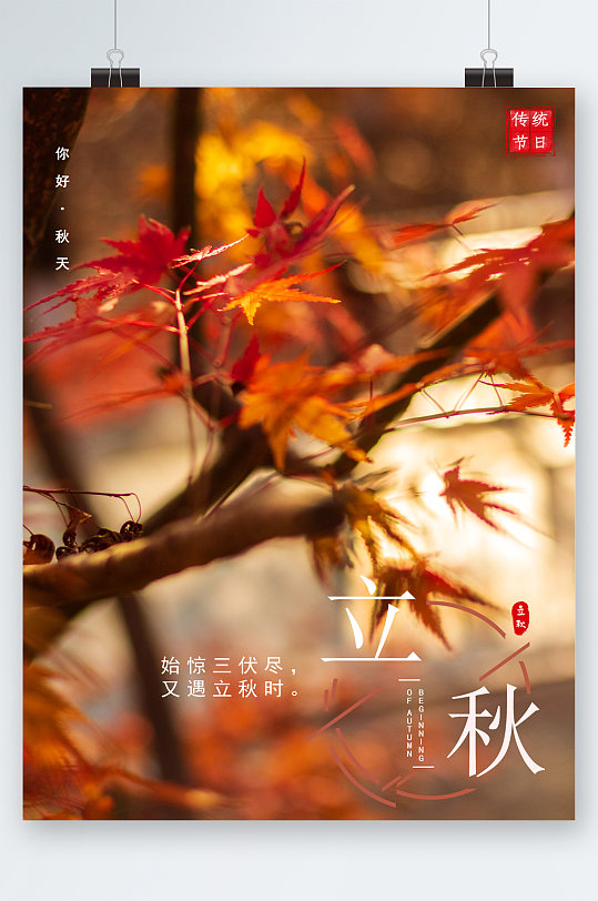 立秋枫叶树木海报