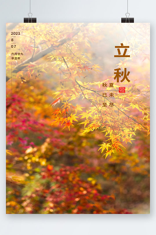立秋枫叶树林背景海报