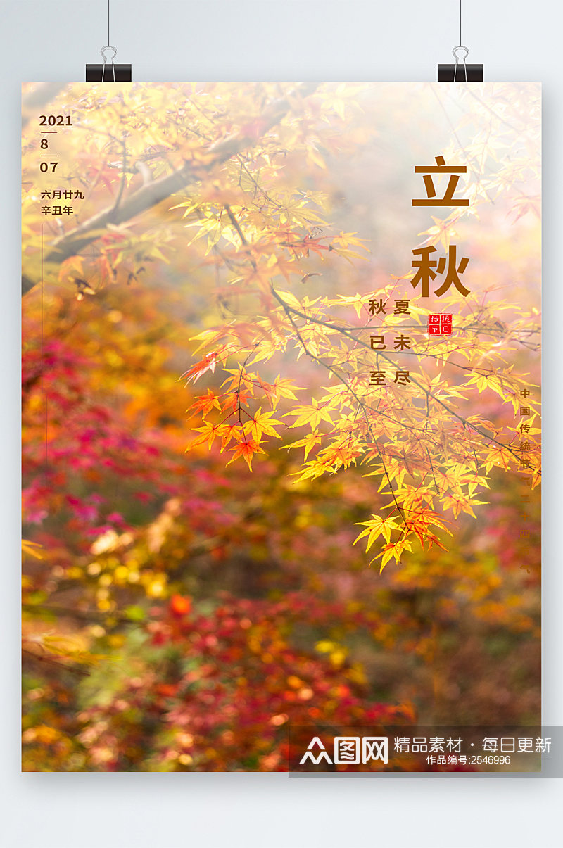 立秋枫叶树林背景海报素材