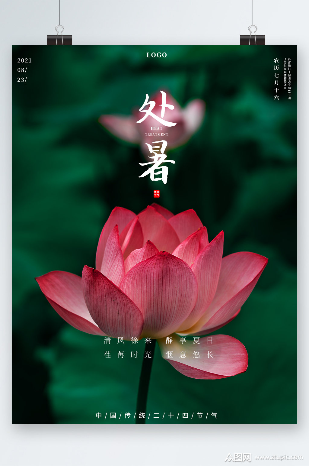 处暑节气荷花简约海报