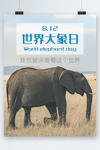 世界大象日宣传海报