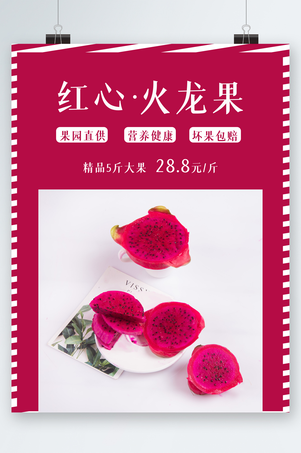 紅心火龍果精品海報(bào)素材