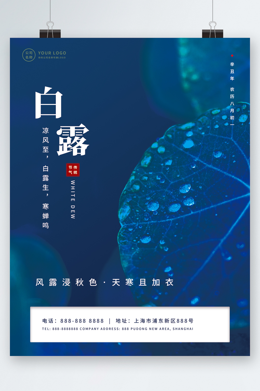 简约白露24节气海报素材
