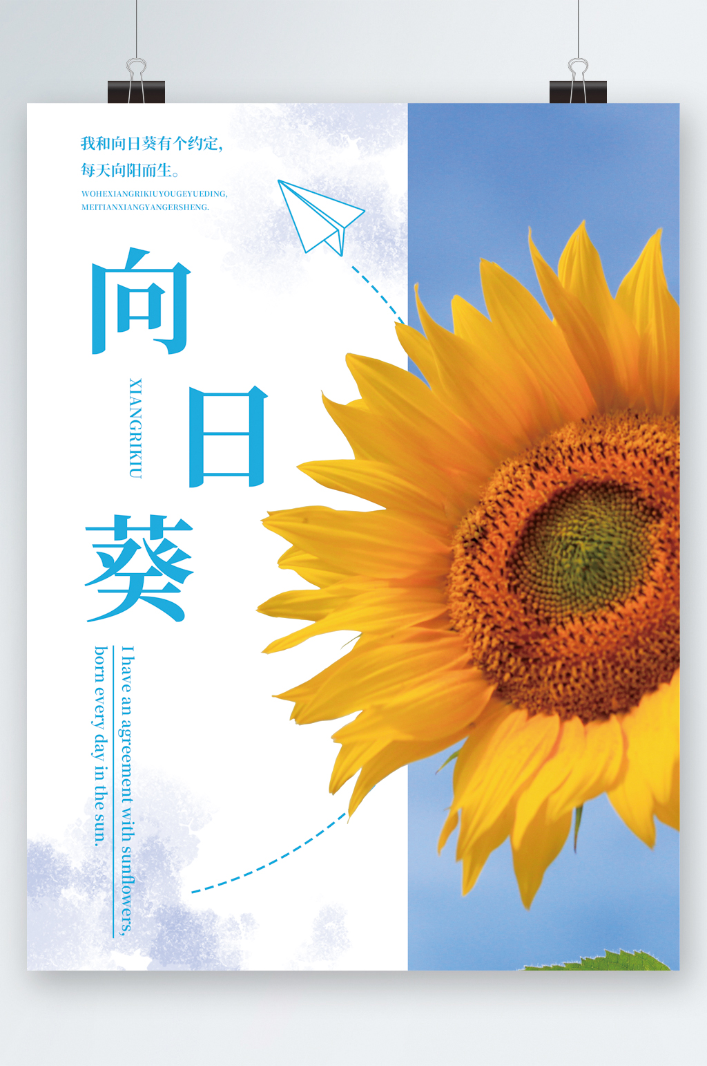 简约白色向日葵海报素材