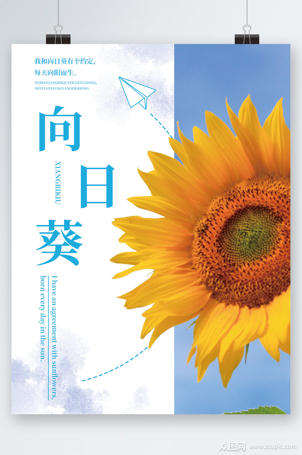 白色向日葵海报素材免费下载,本作品是由图图上传的原创平面广告素材
