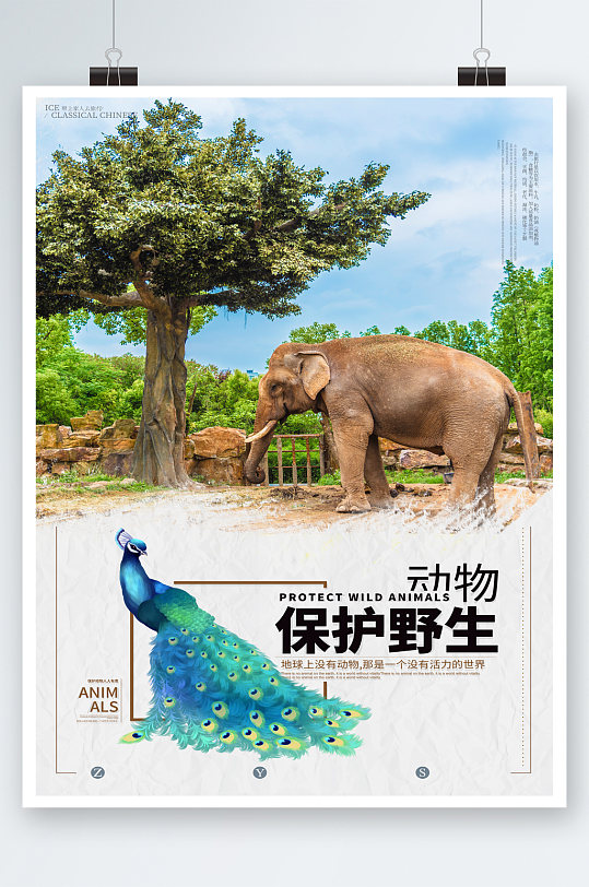 保护野生动物宣传海报