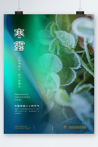 寒露中国传统二十四节气海报