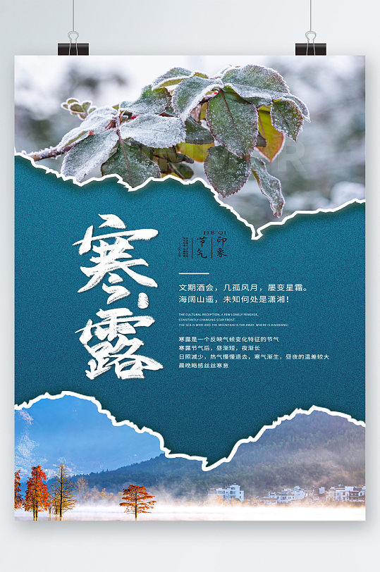 寒露传统节气24节气海报