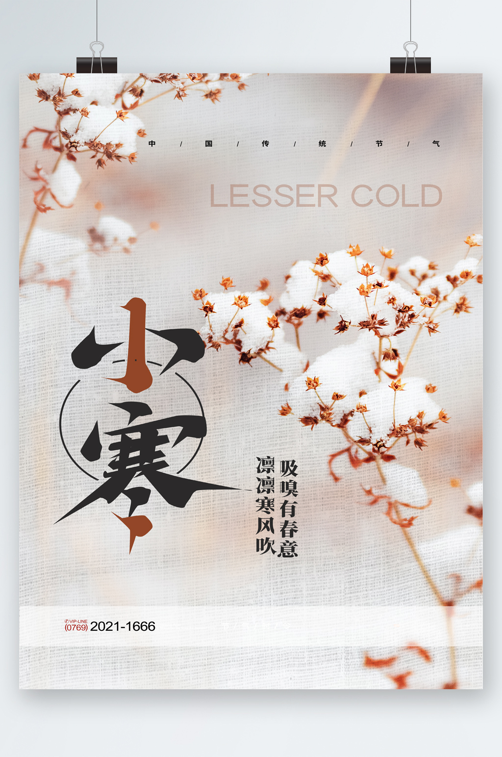 棉花清新背景小寒节气海报素材