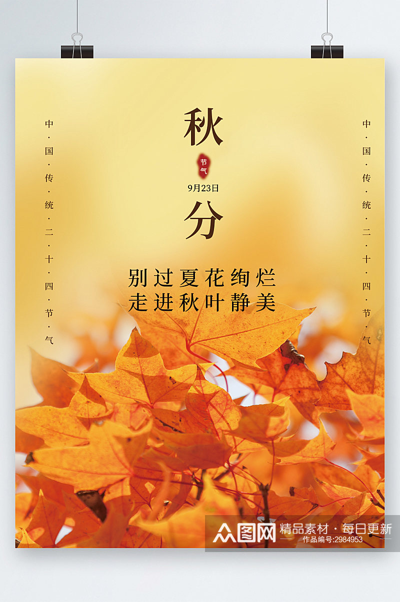 秋分节气枫叶背景海报素材