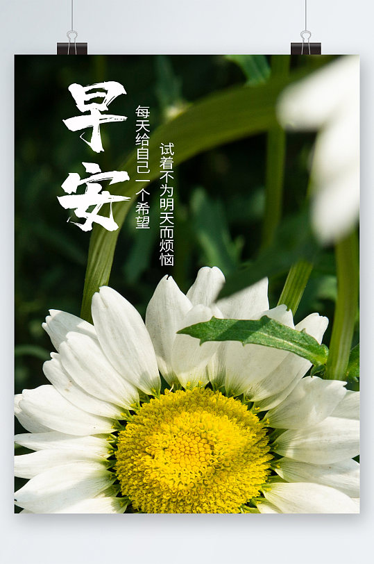 早安美辰花朵清新海报