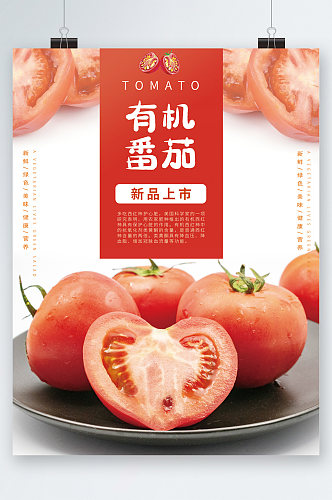 有机番茄新品上市海报