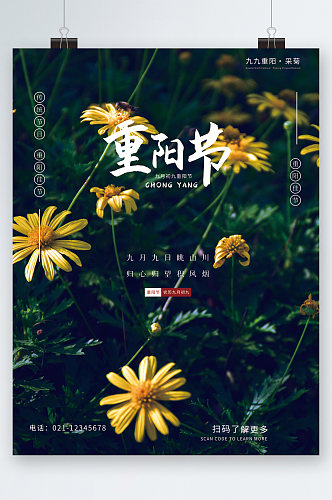 重阳节小雏菊背景海报
