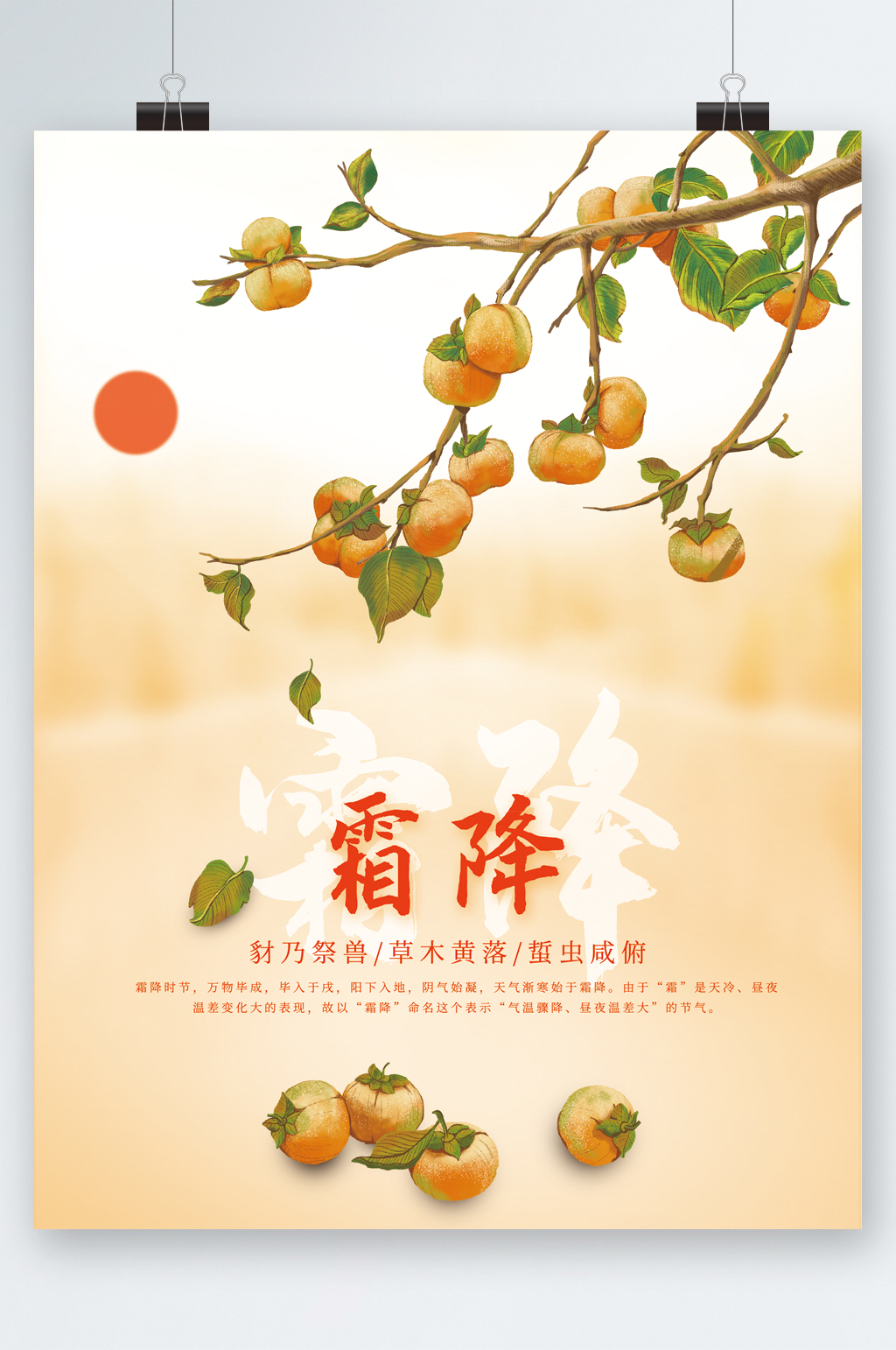 霜降节气文艺风柿子插画海报素材