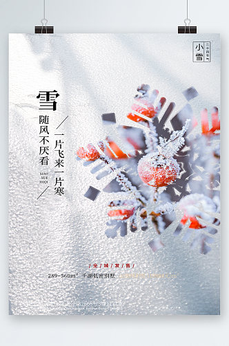 小雪传统24节气海报