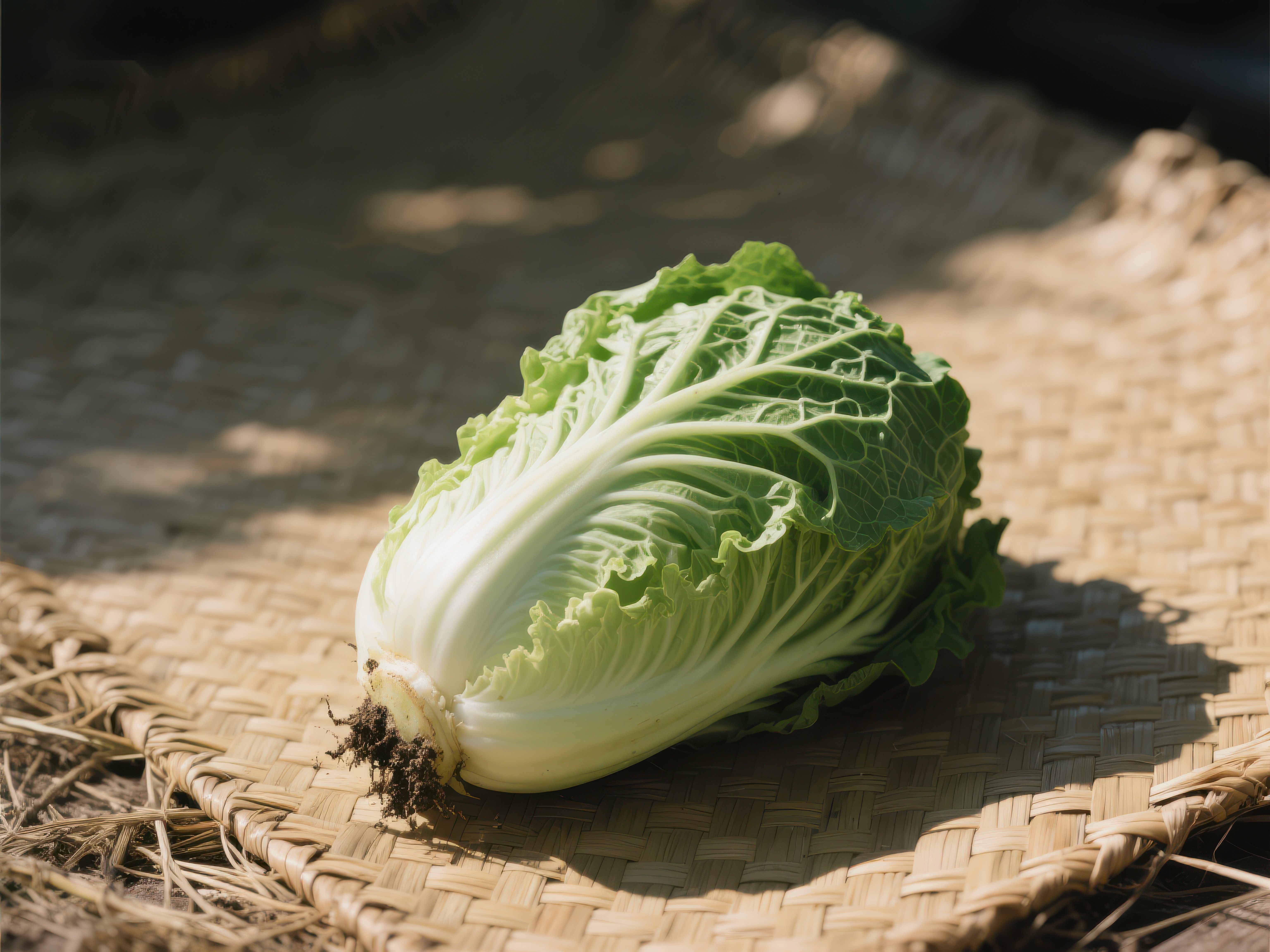 新鲜白菜置于编织垫上素材