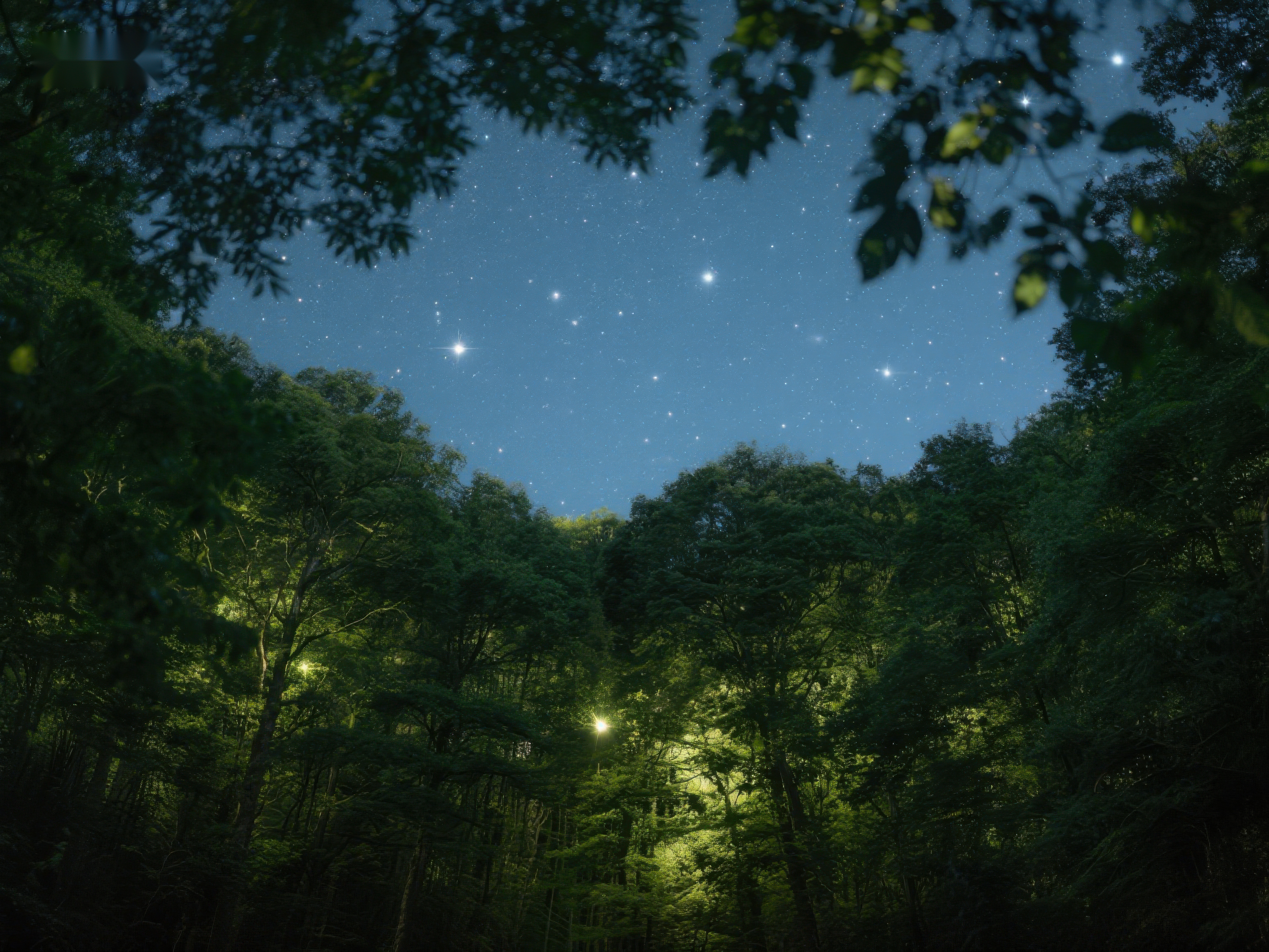 夜空下的森林星光闪烁素材