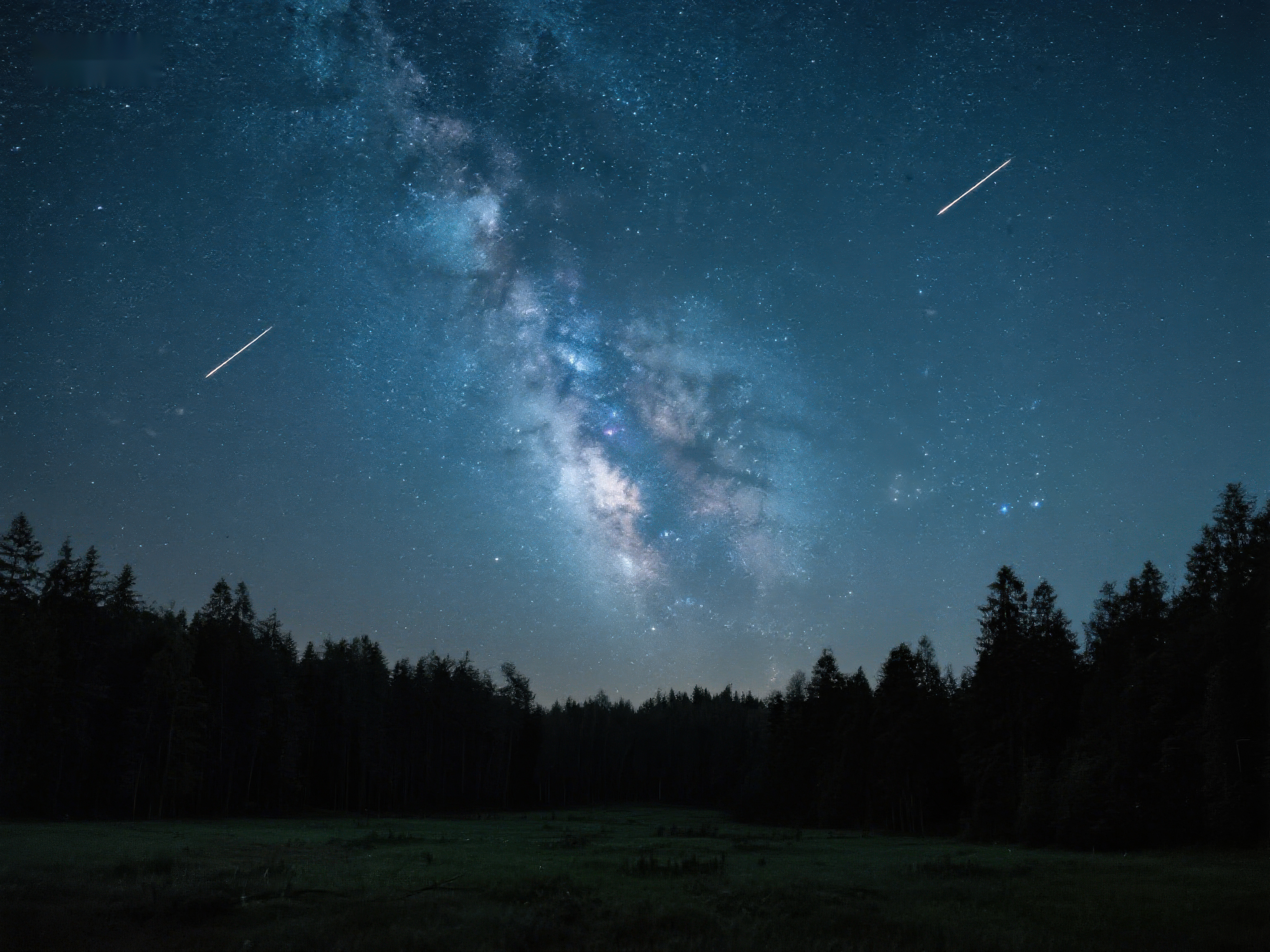 银河横跨夜空流星划过森林素材