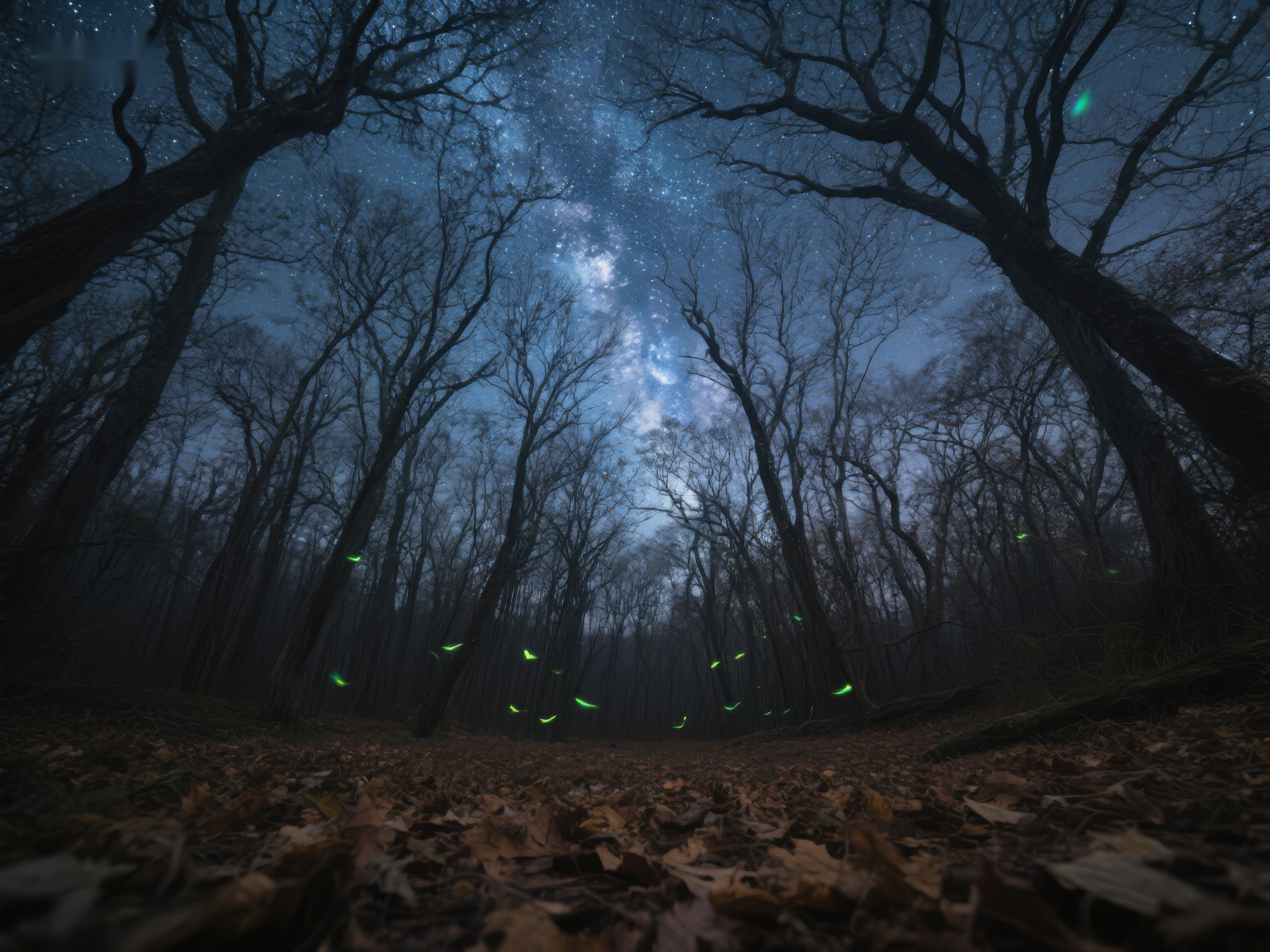 夜林星光与萤火虫素材
