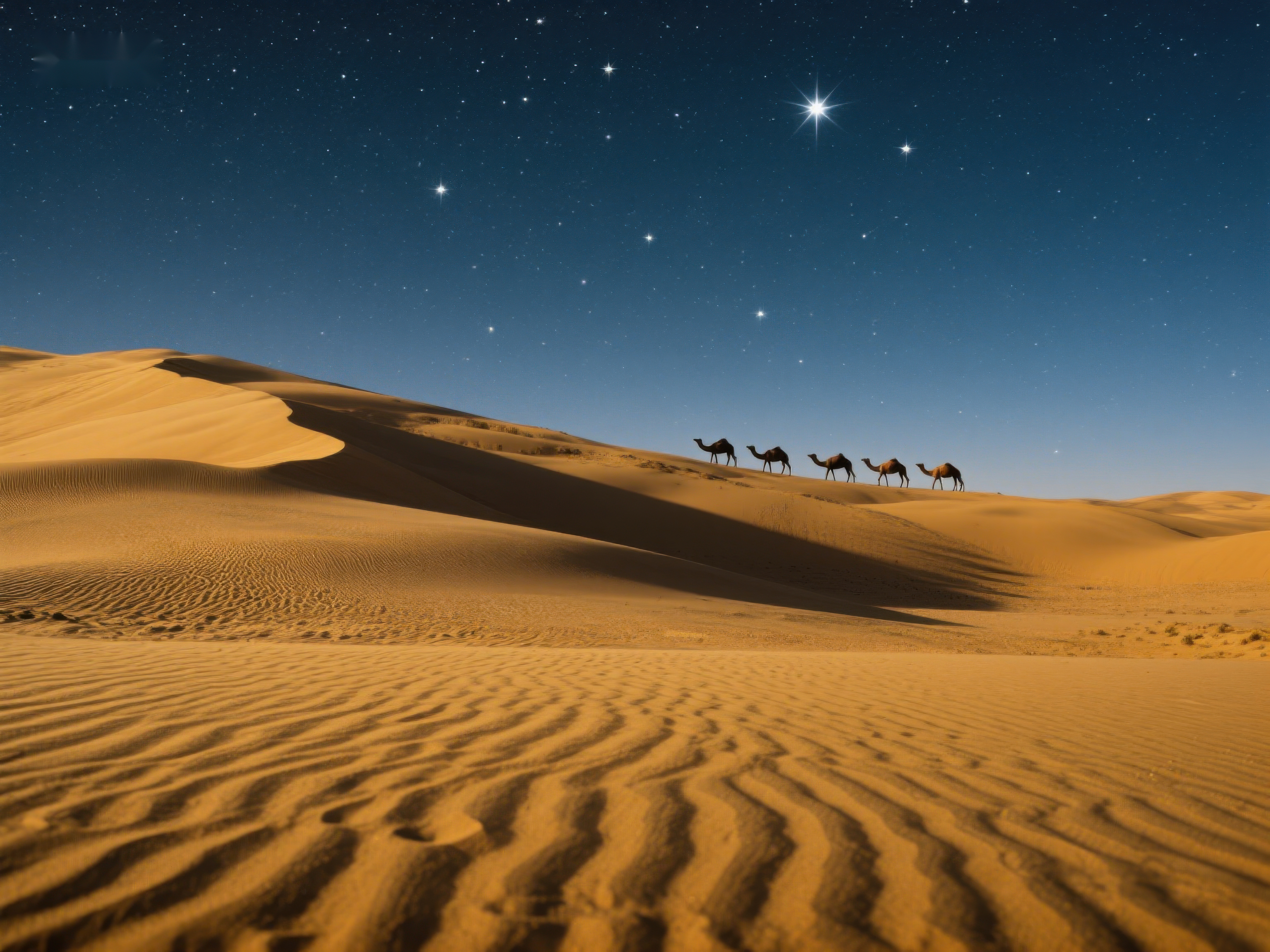 沙漠夜景骆驼队与星空素材