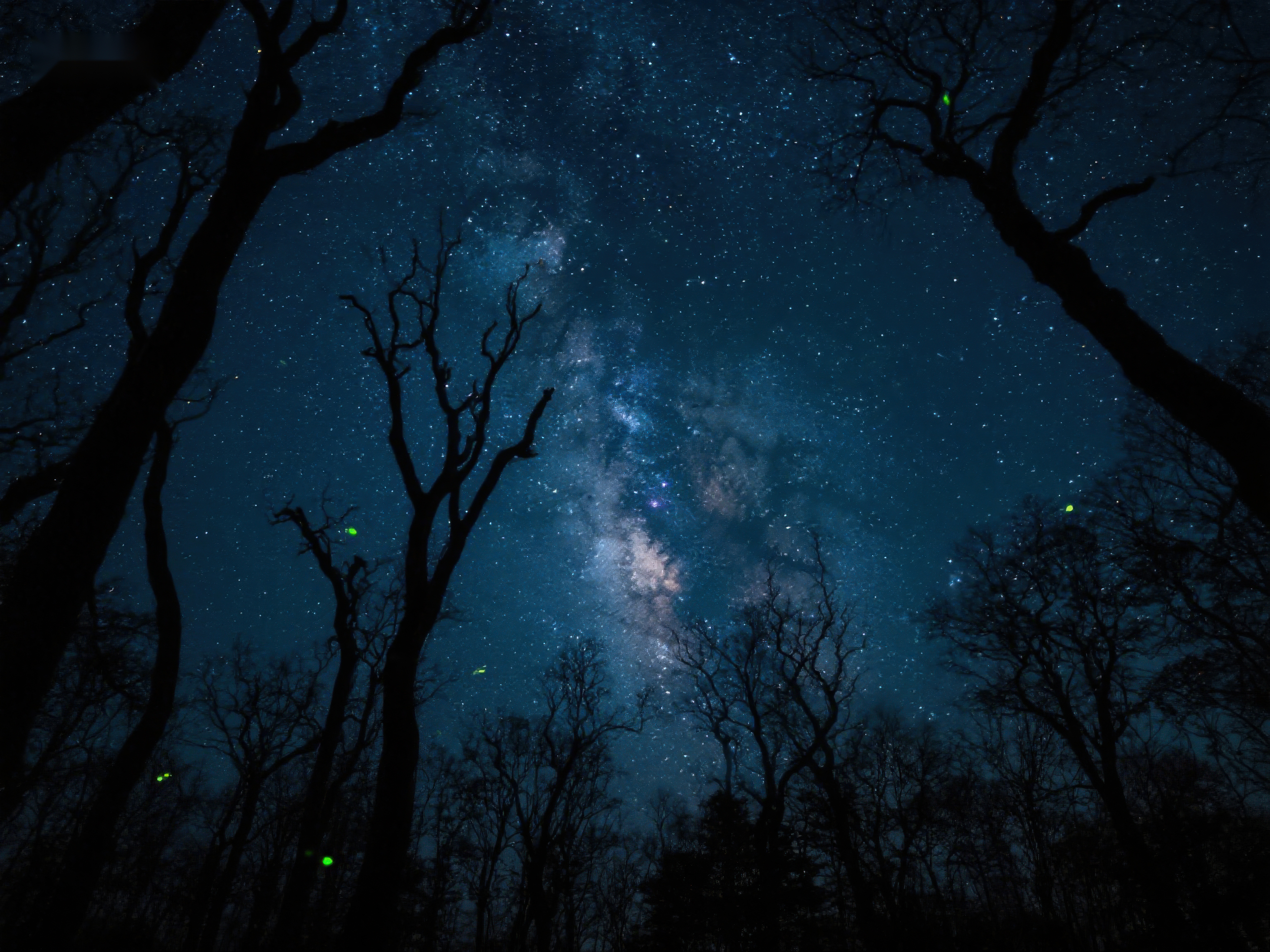 夜空银河与树影交织的美景素材