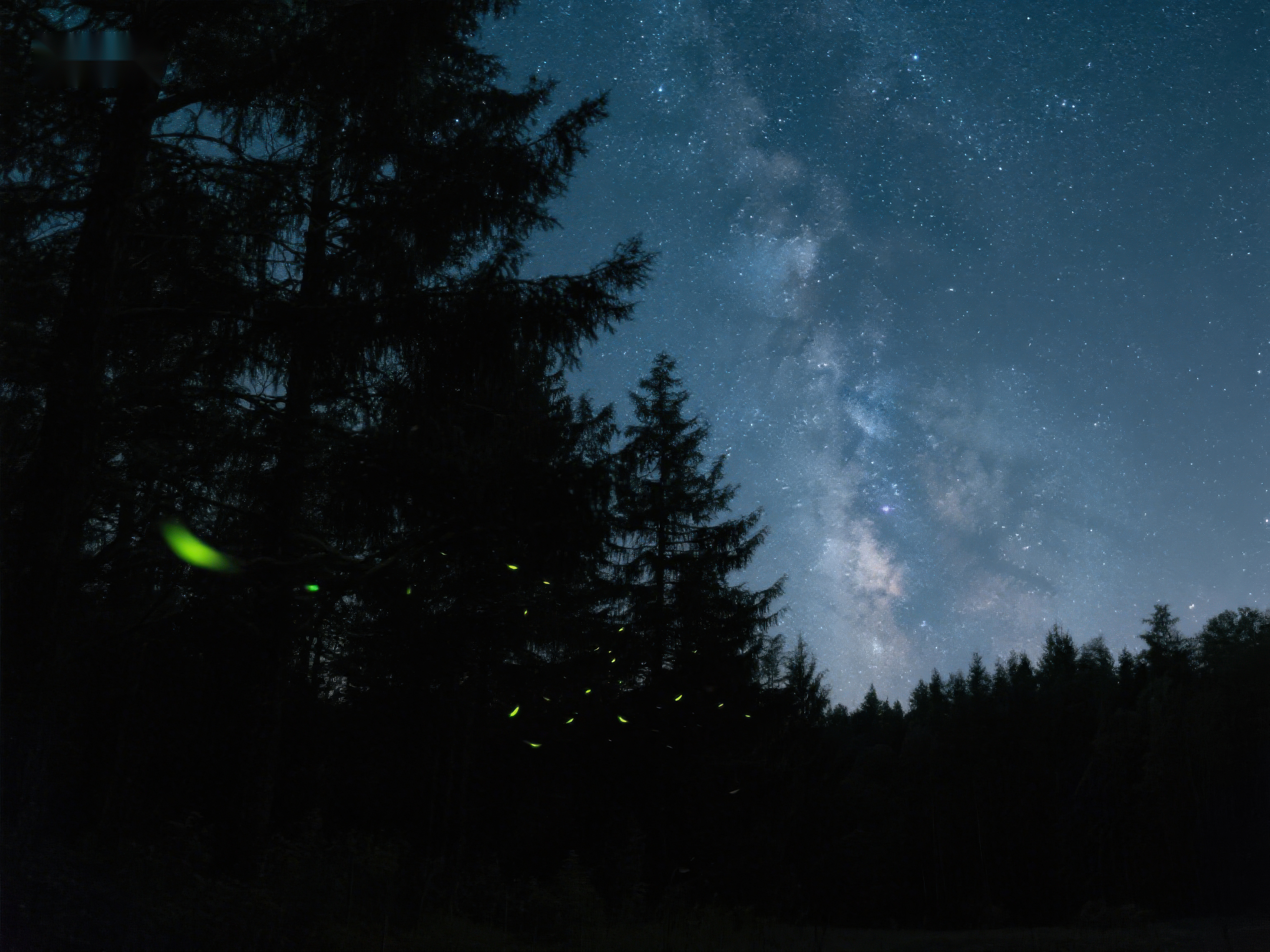 夜空银河与萤火虫共舞素材