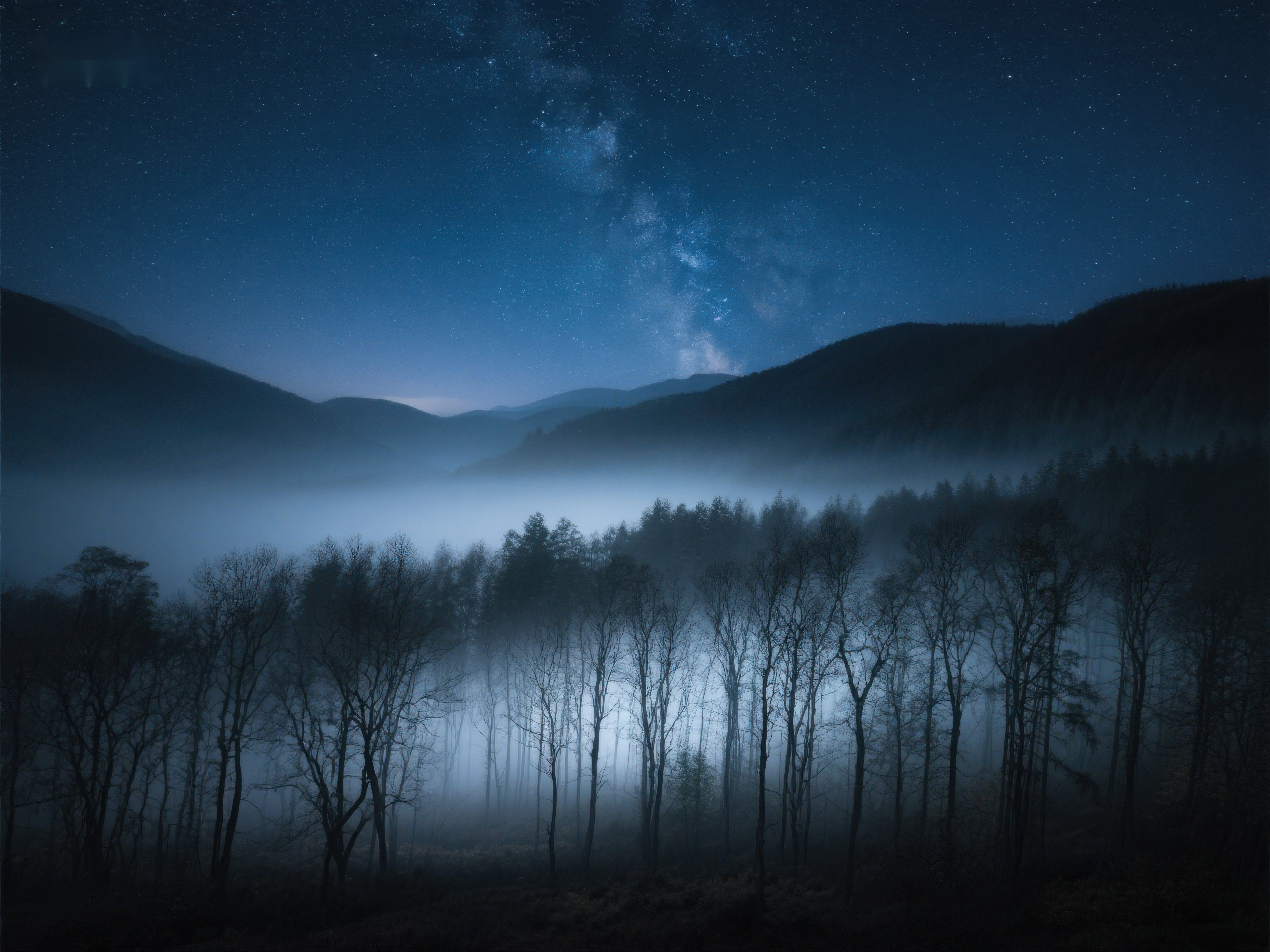 夜幕下的森林与银河素材