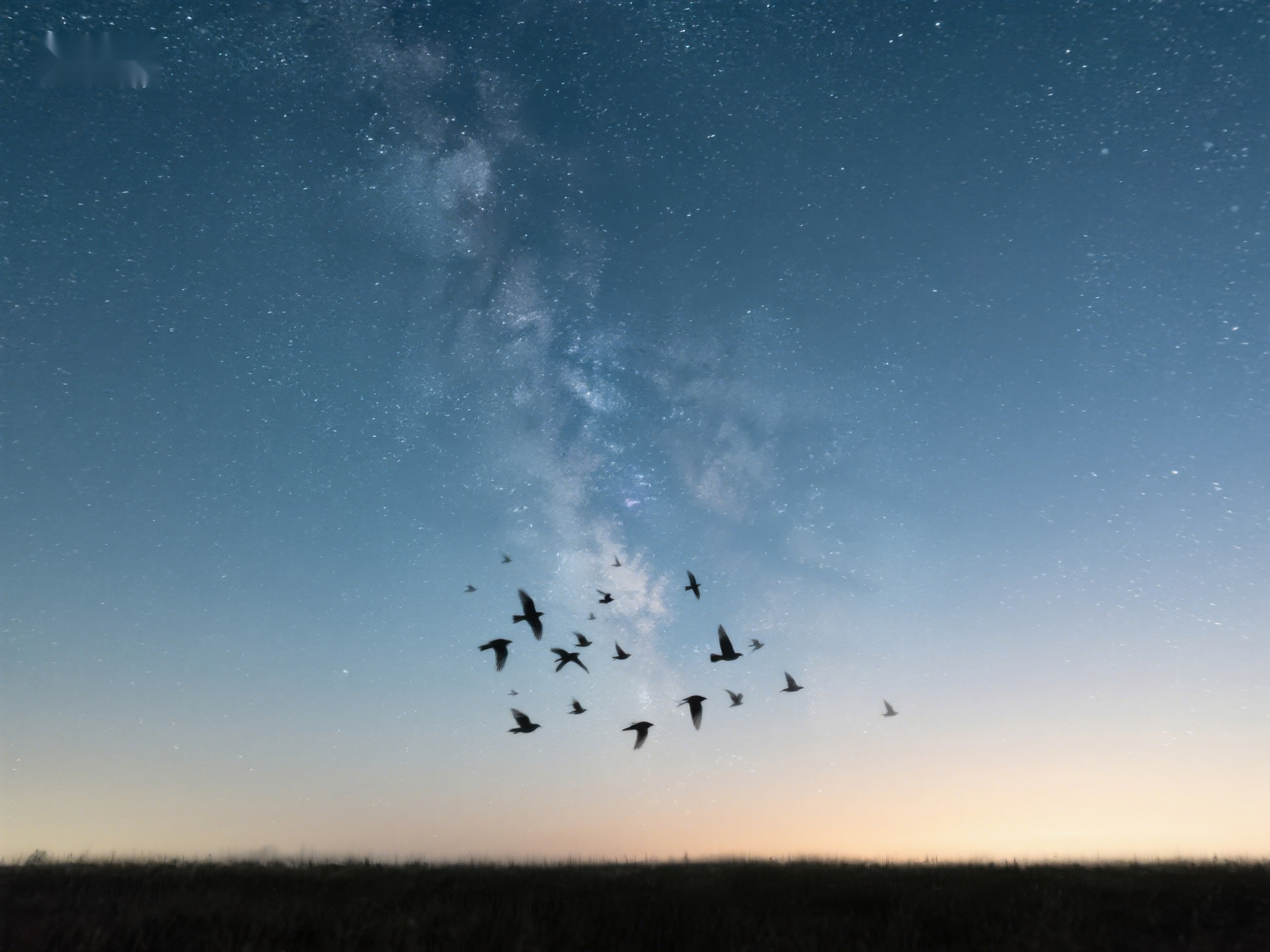 夜空星辰下飞翔的鸟群素材