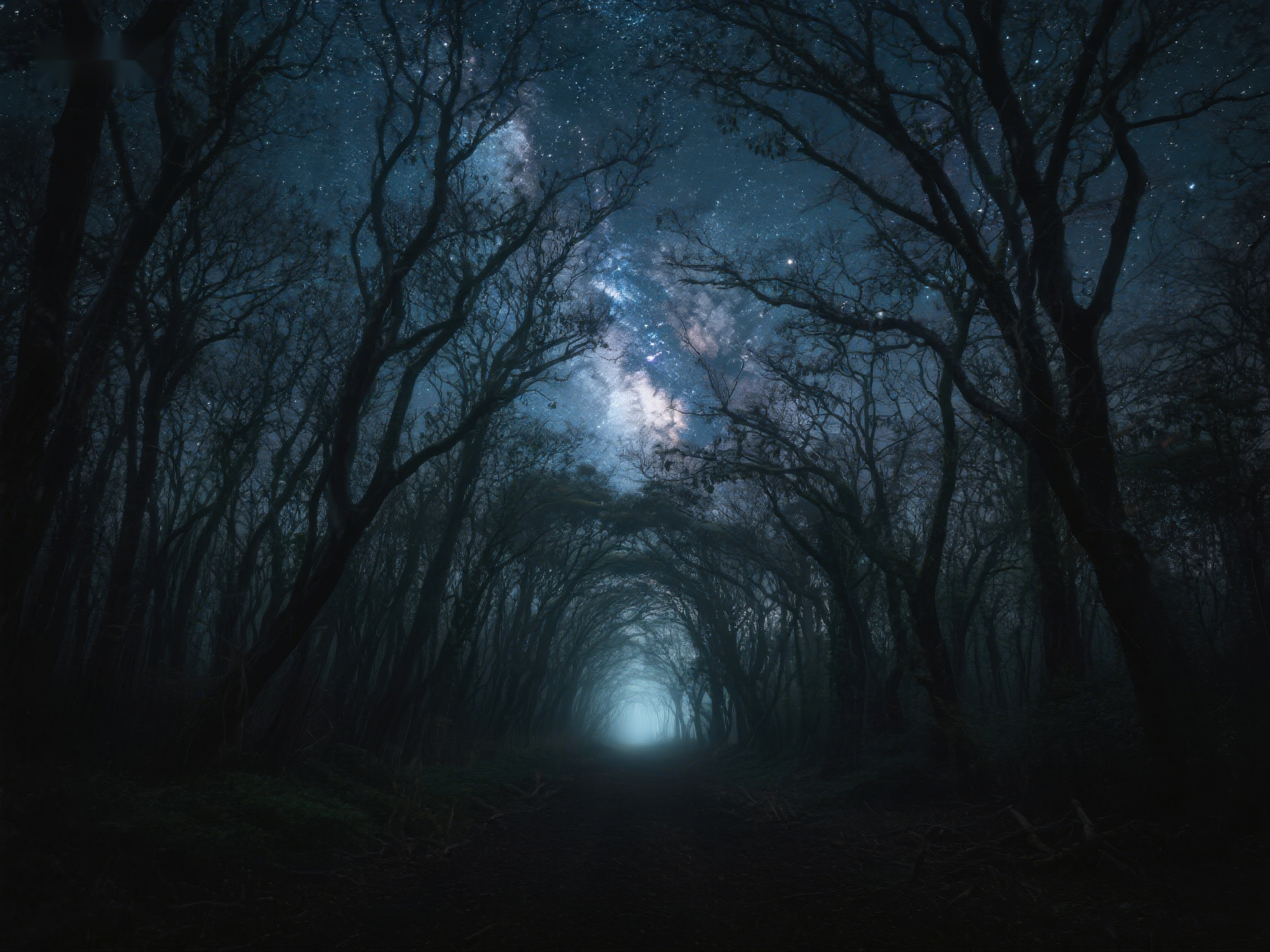 星空下的幽暗森林小径素材
