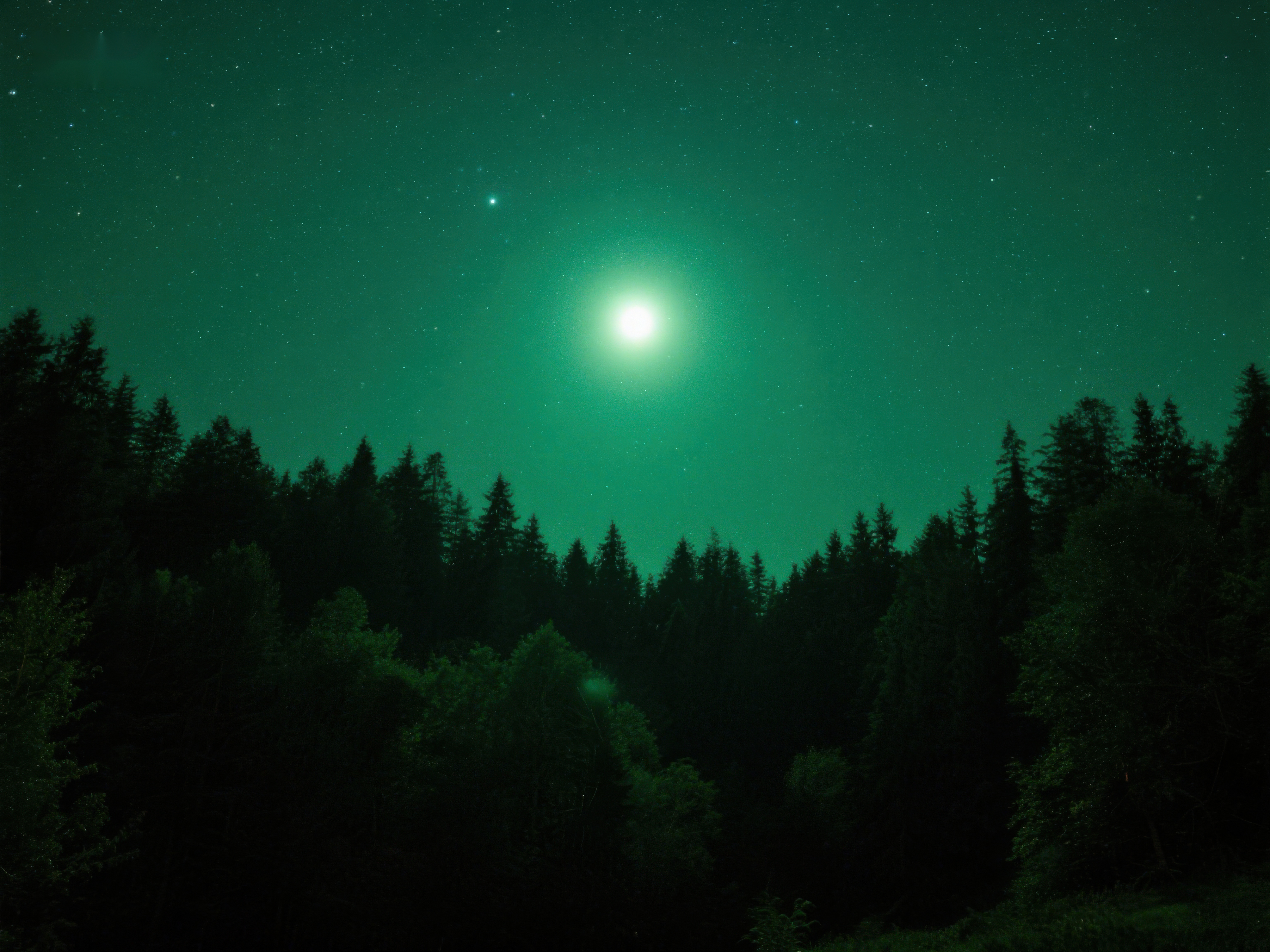 夜空下的森林与神秘绿光素材