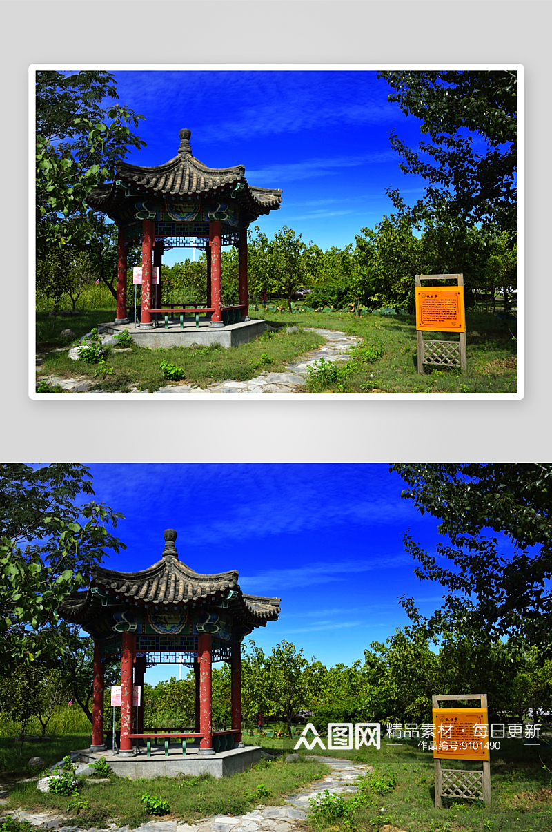 北京大兴古桑森林公园风景图片第4张素材