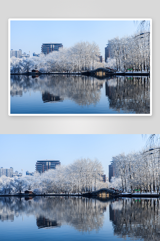 北京玉渊潭雪景图片