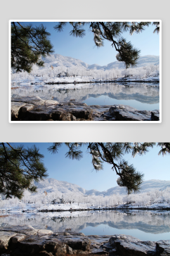 北京植物园雪景图片第7张