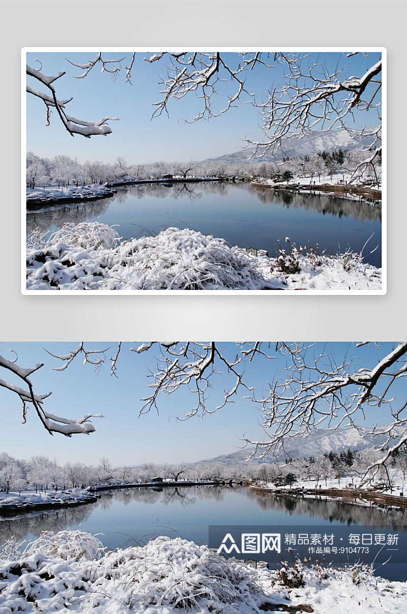 北京植物园雪景图片第5张素材