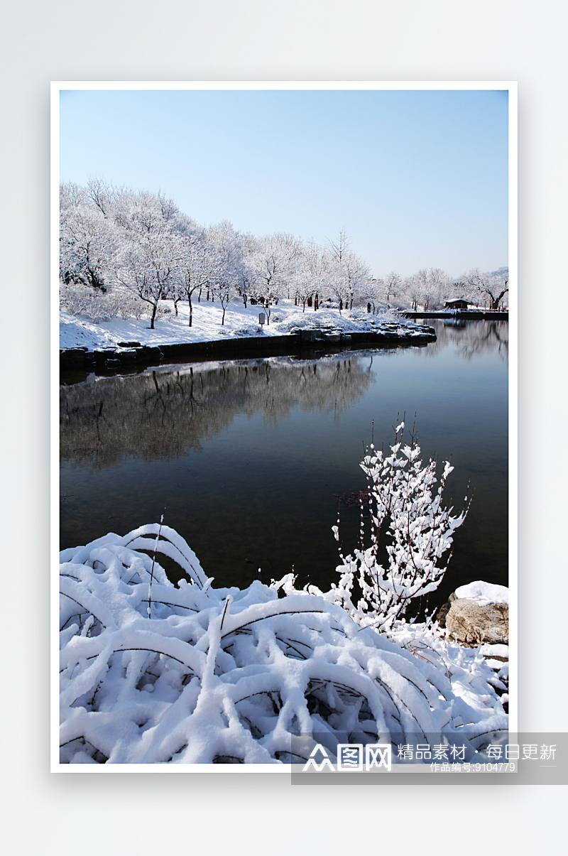 北京植物园雪景图片第2张素材