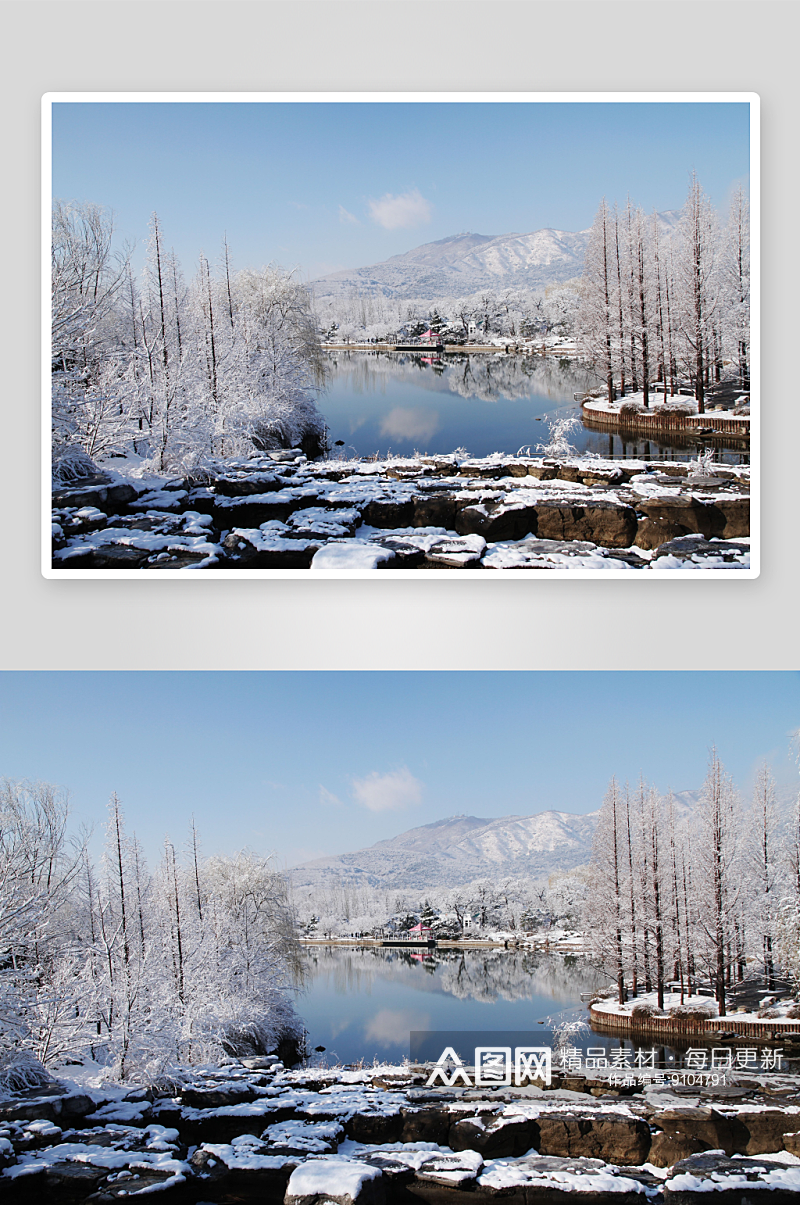 北京植物园雪景图片第13张素材