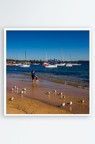 澳大利亚悉尼屈臣氏湾风景图片