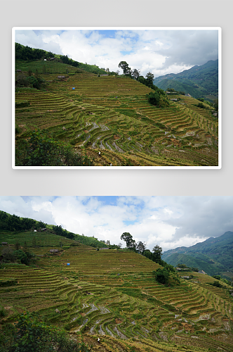 越南山地梯田风景图片