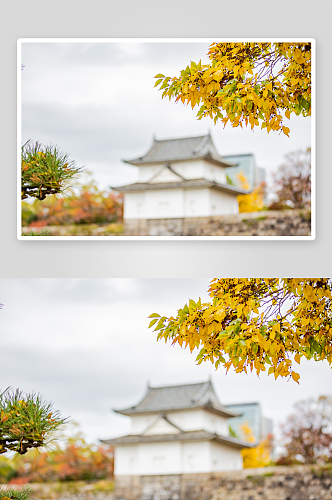 日本大阪迷人秋季风景图片