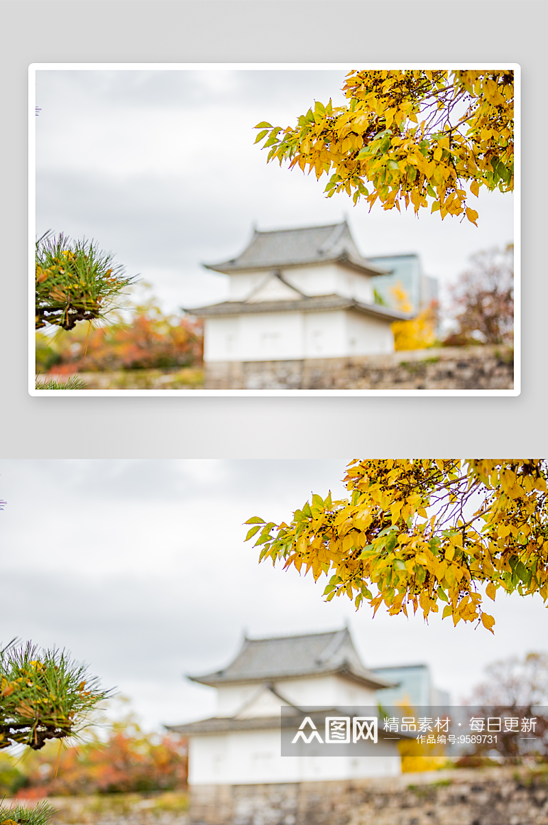 日本大阪迷人秋季风景图片素材
