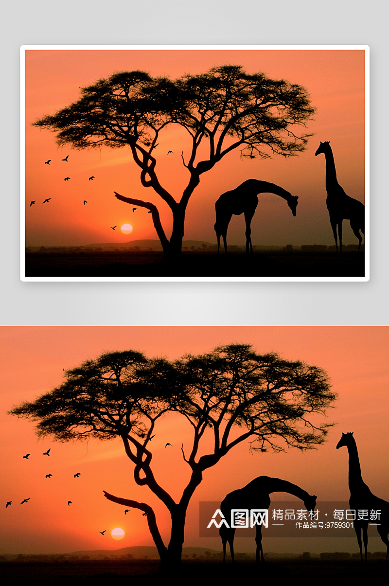非洲AFRICA风景图片素材