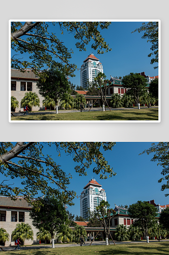 福建厦门大学建筑风景图片