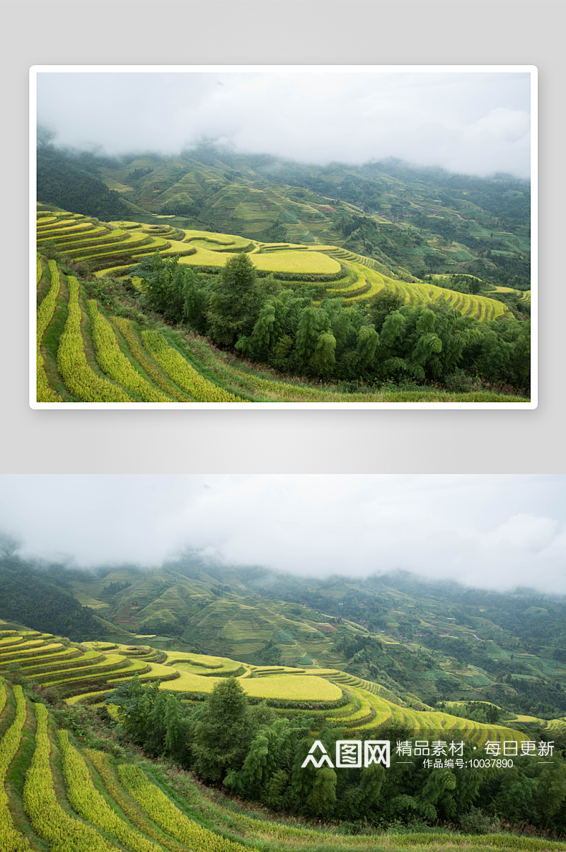 广西桂林龙脊梯田风景图片素材