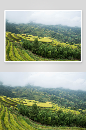 广西桂林龙脊梯田风景图片