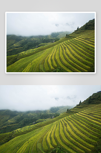 广西桂林龙脊梯田风景图片