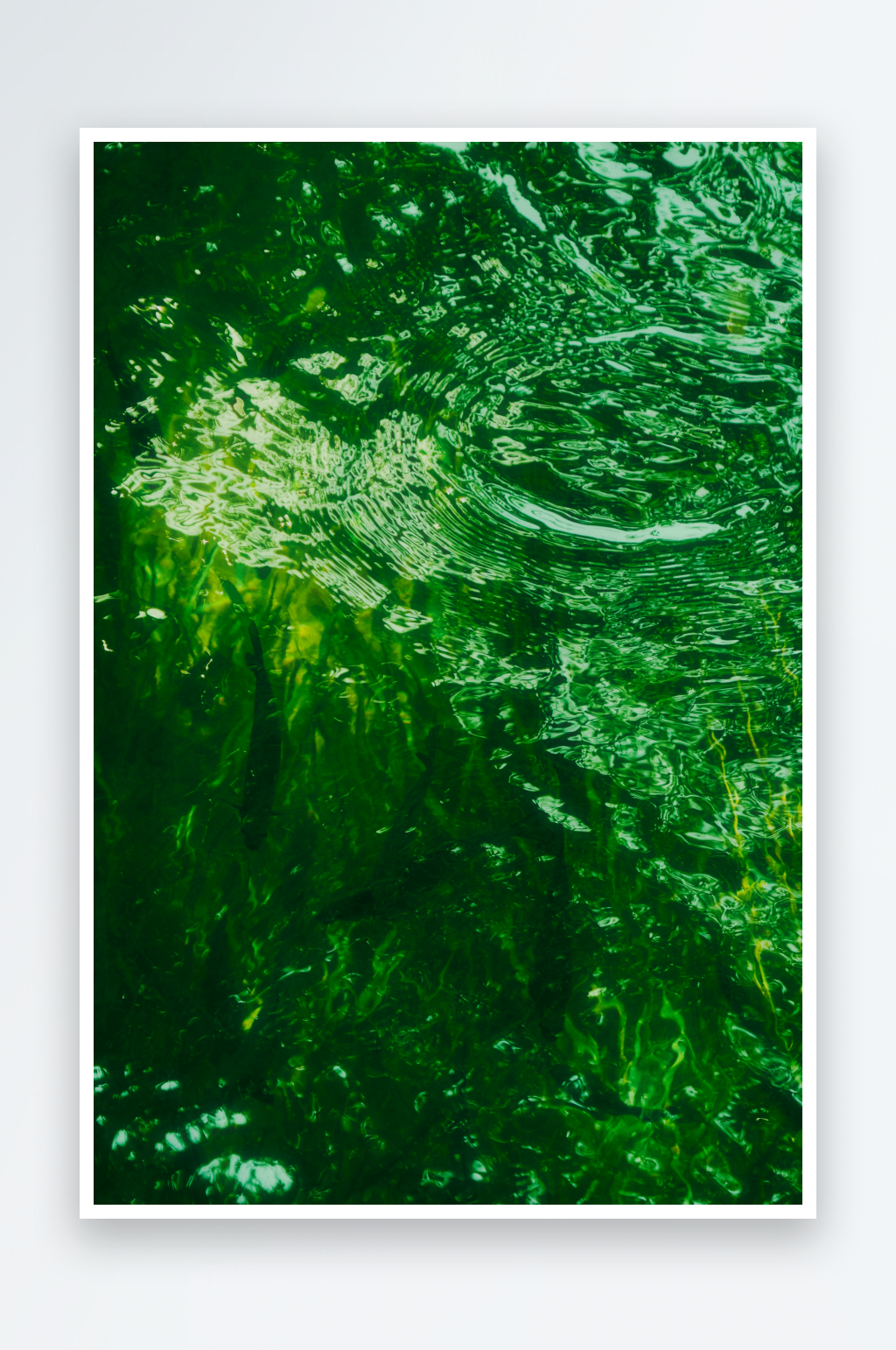 水下绿藻光影流动素材