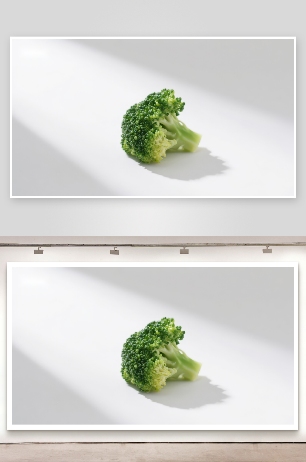 一颗西兰花置于白色背景上素材