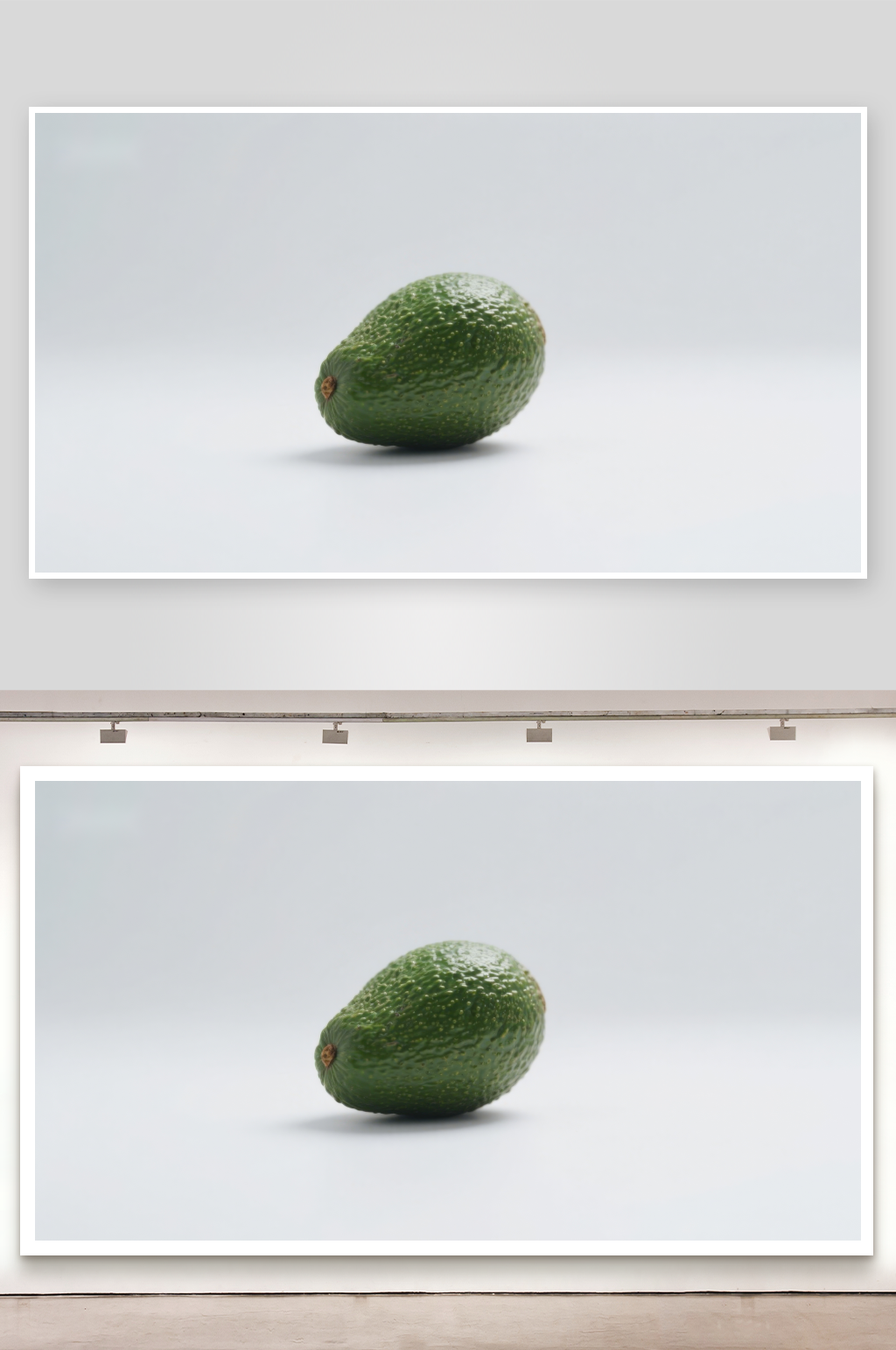 单个牛油果静置画面素材