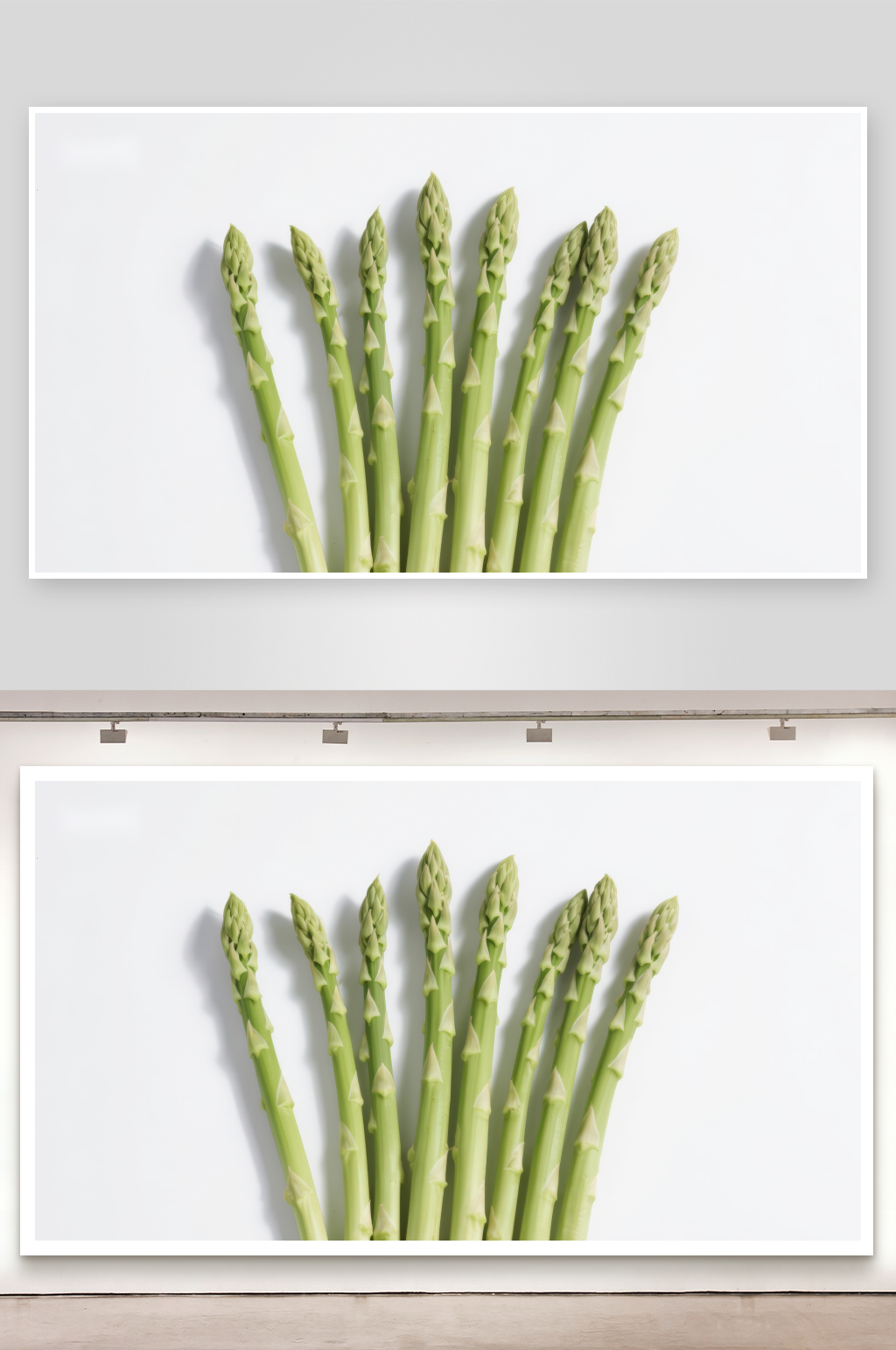 新鲜芦笋排列特写素材