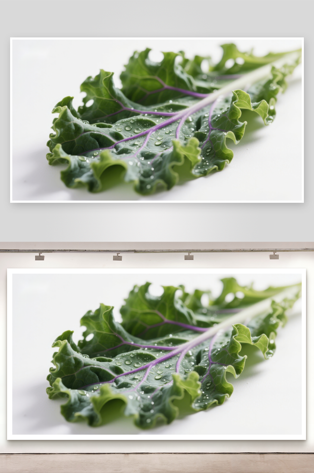 紫茎羽衣甘蓝叶片特写素材